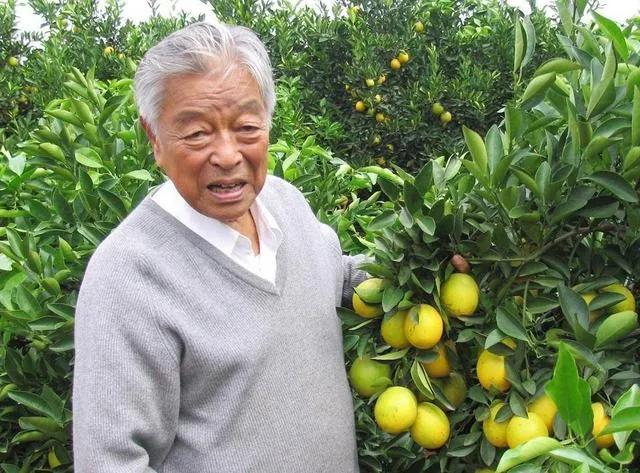 亚洲烟王褚时健,亚洲烟王