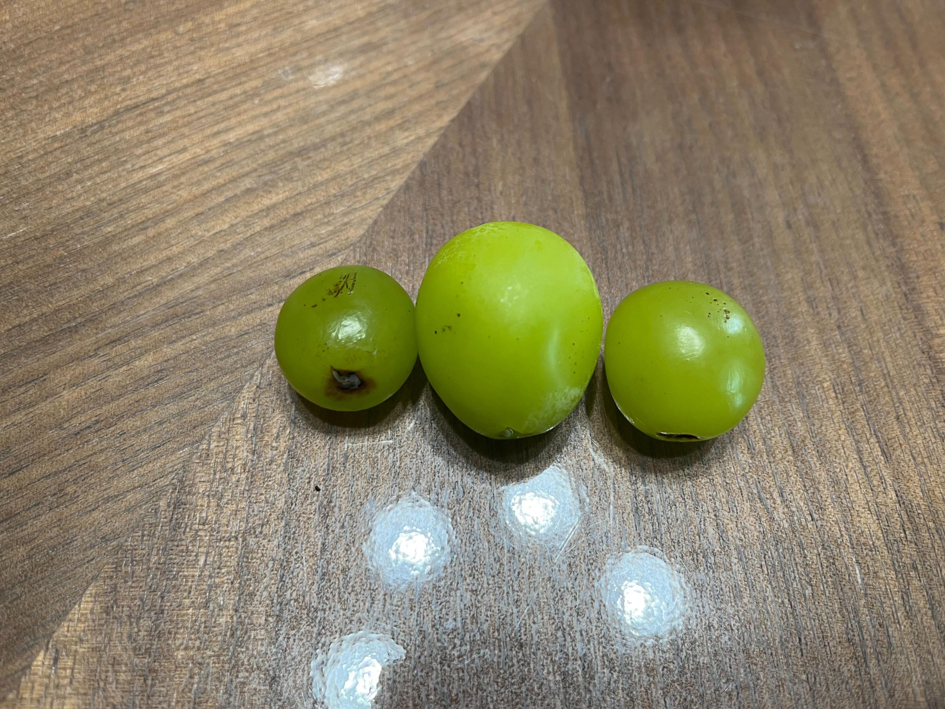 tcl格物冰箱q10尺寸,TCL格物冰箱Q10价格