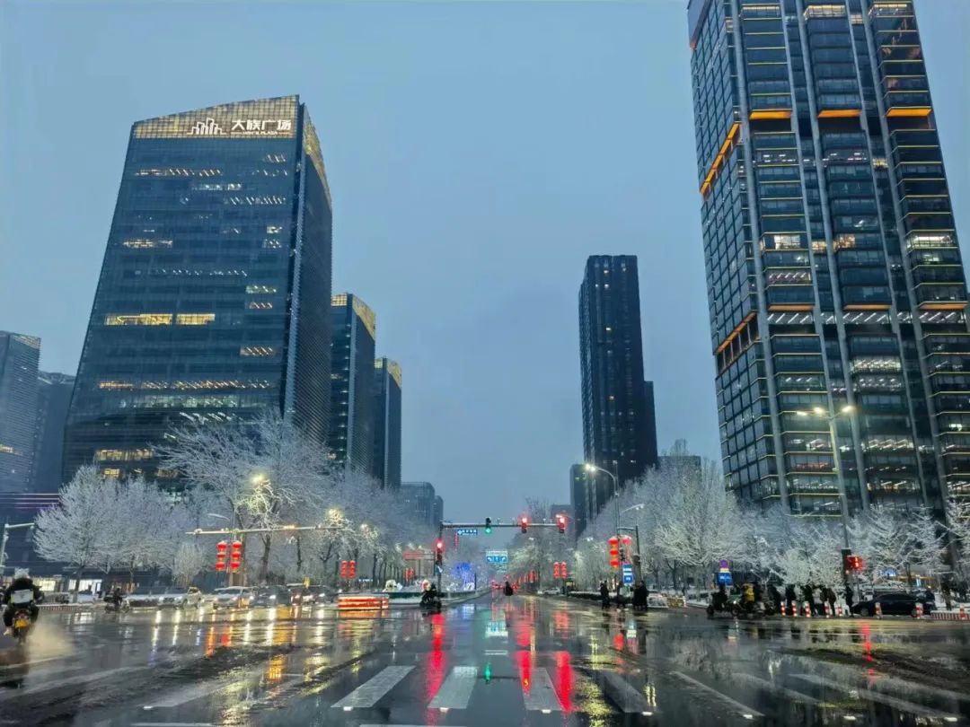 春雪初霁,春雪初霁杏花正芳月上夜吟