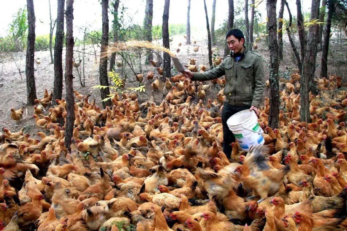 在农村做什么小生意最赚钱最长远,农村人做什么小生意最赚钱