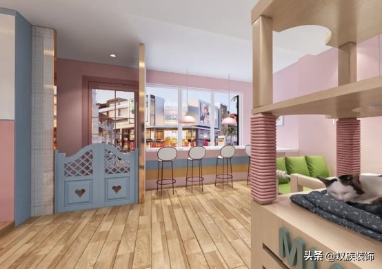 宠物店室内装修怎么吸引顾客,宠物店简单装修多少钱