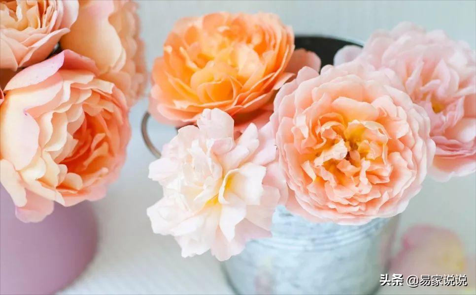 人拥有极强的自愈能力,成年人的自愈能力超强