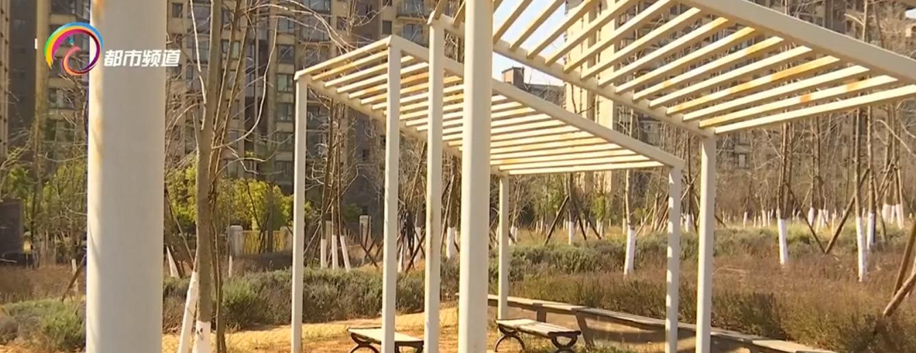 太可惜！春天来了还没发芽，大部分都是枯枝！