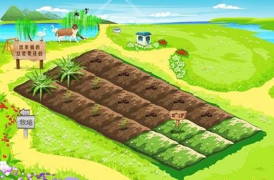 你的QQ号是几位数？还记得第一个头像是用哪一个吗？