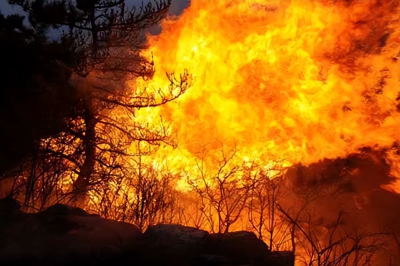 世界上唯一一个禁烟的国家，吸烟罚款，私带*草烟**入狱三年