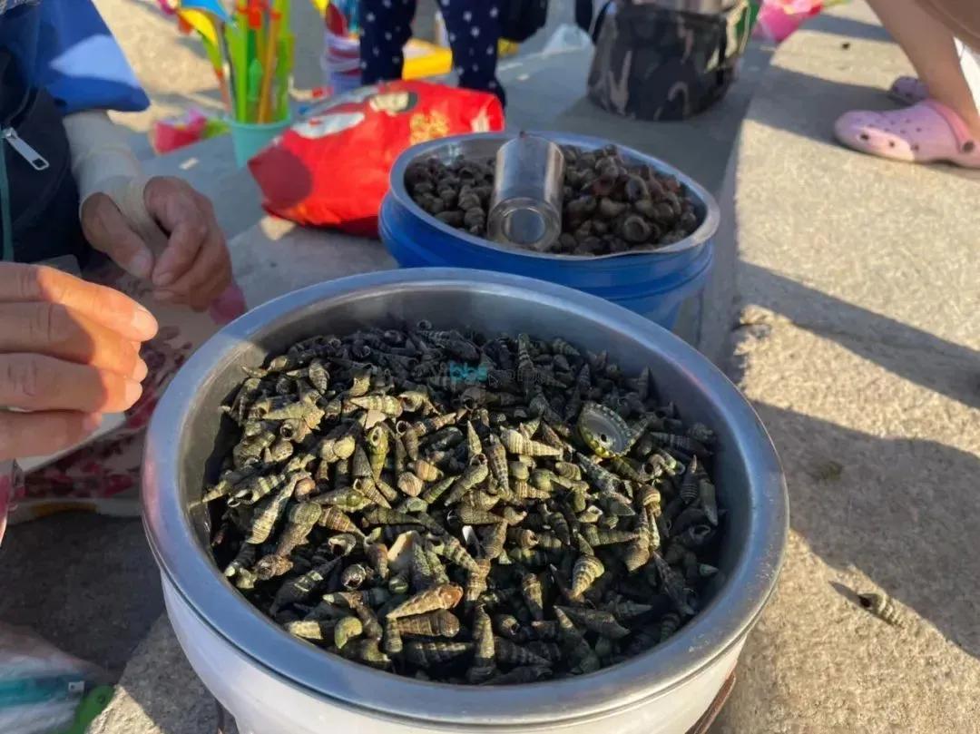 烟台海鲜推荐便宜的有哪些,烟台夏季海鲜有哪些好吃的