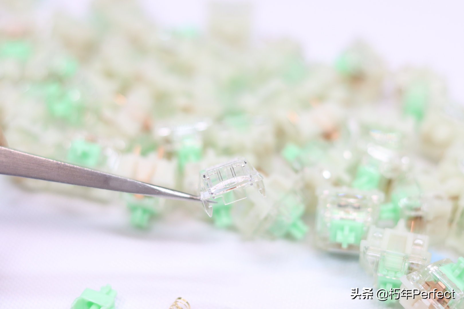 佳达隆小袋鼠轴测评,佳达隆小袋鼠轴3.0