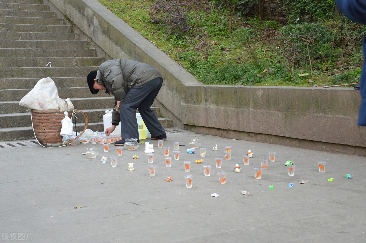 苹果专卖店欺骗消费者怎么办,苹果手机专卖店被套路能报警吗
