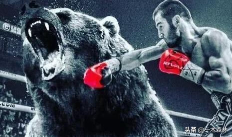 东北棕熊和俄罗斯棕熊再次打架,棕熊和棕熊打起来谁更厉害