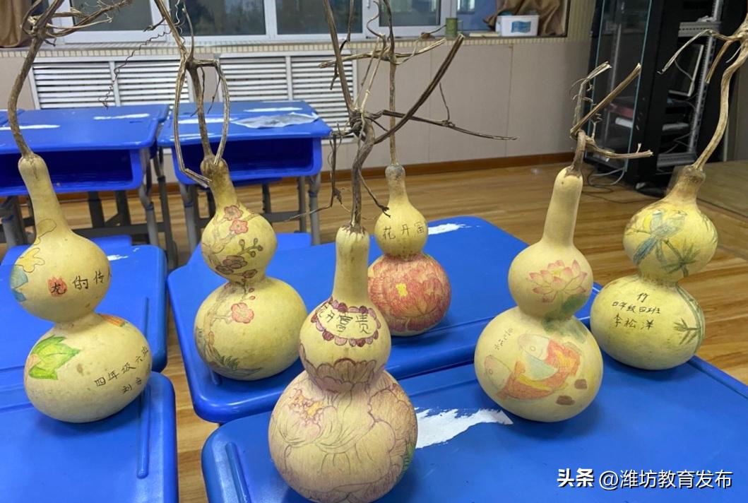 挖红薯、摘柿子、拔花生……看，潍坊学子在劳动中感受秋天