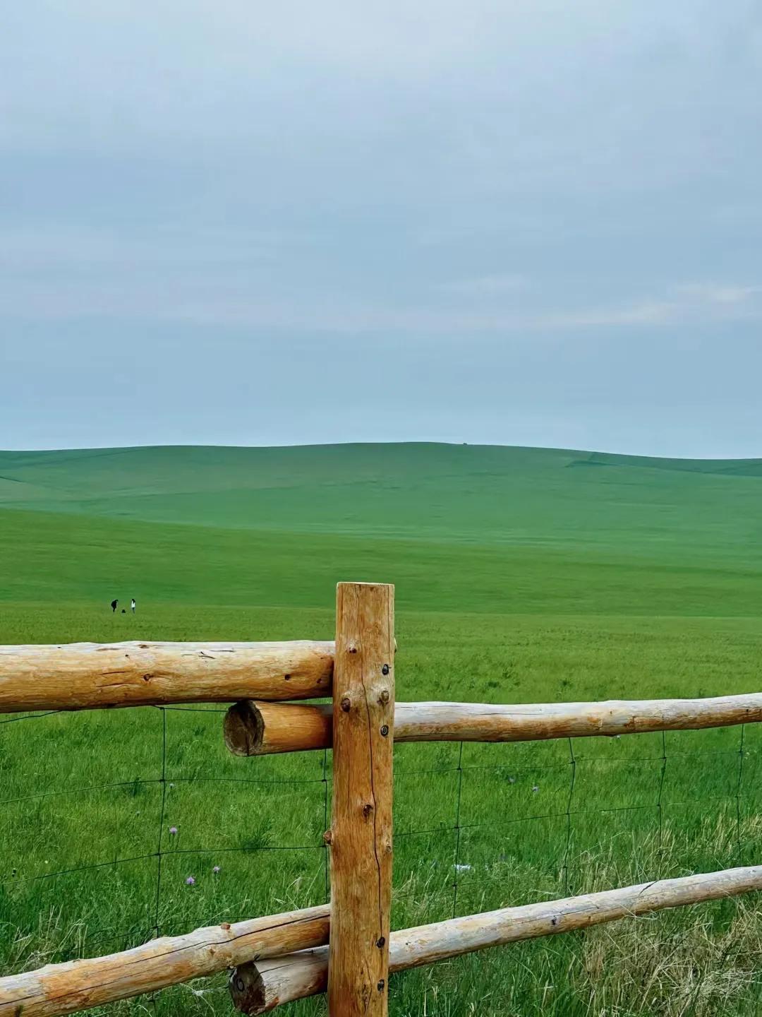 呼伦贝尔旅游攻略自驾游线路推荐,天津到呼伦贝尔自驾游攻略路线