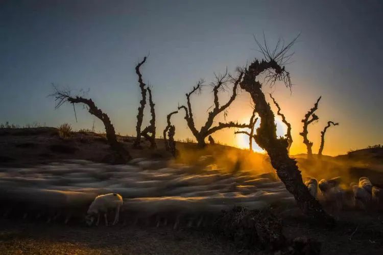 内蒙奈曼旗摄影,内蒙古通辽市奈曼旗宝古图沙漠