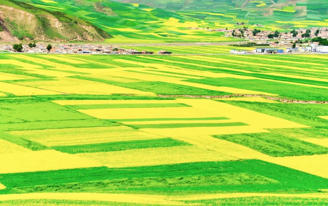 写春天最美好的50首诗词,写春天最唯美的古诗词50首