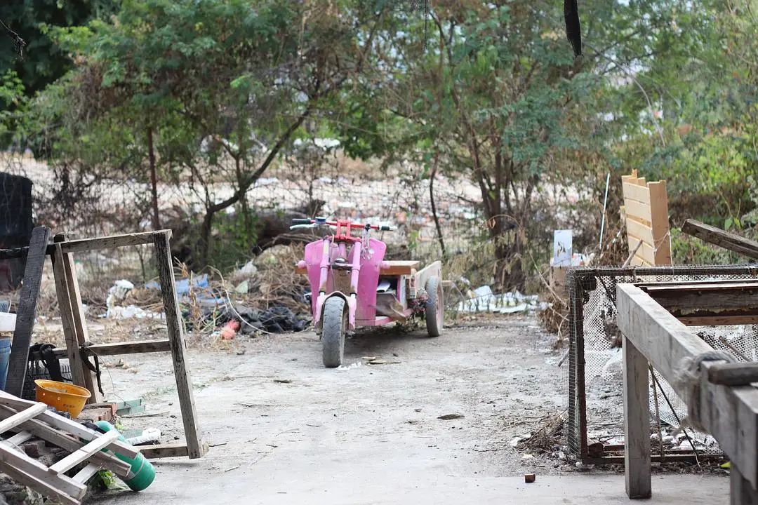 我是旅居三亚的姑娘，最终仓惶逃回深圳了