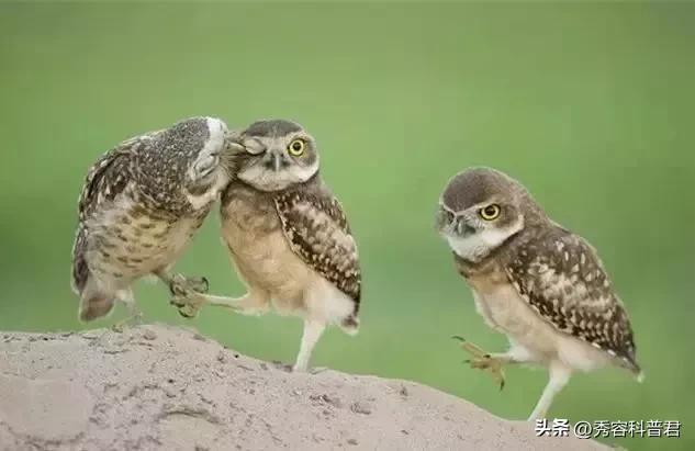 *拍偷**的夫妻生活照，羞羞的