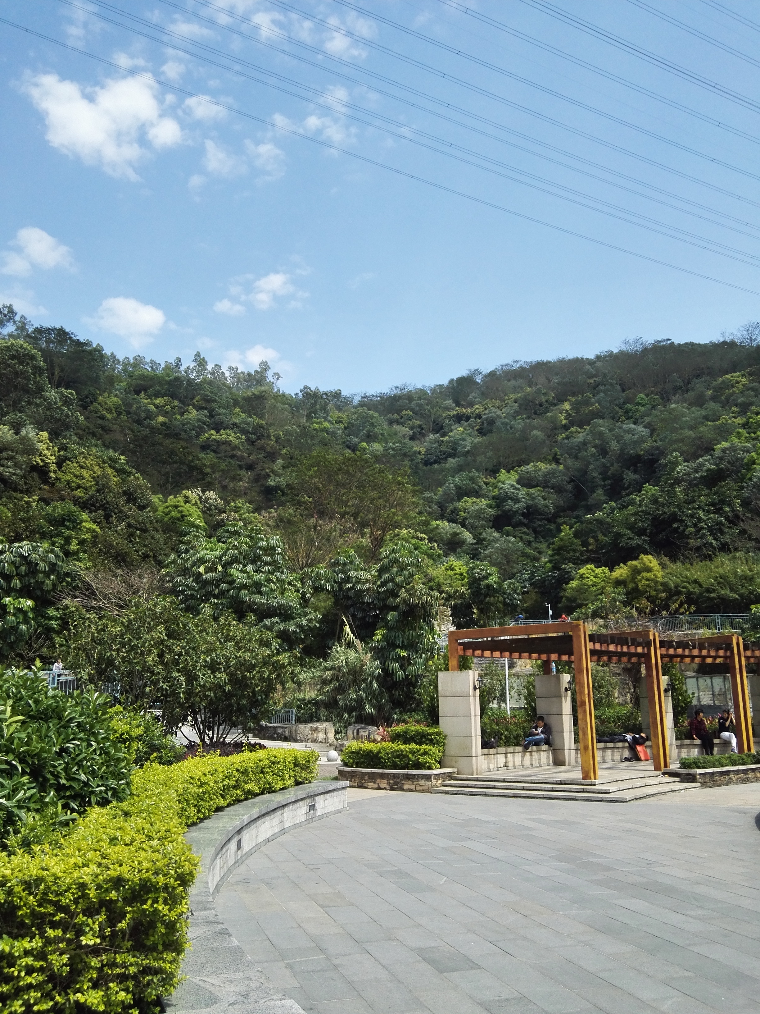深圳平峦山公园,深圳宝安平瑾山公园图片大全