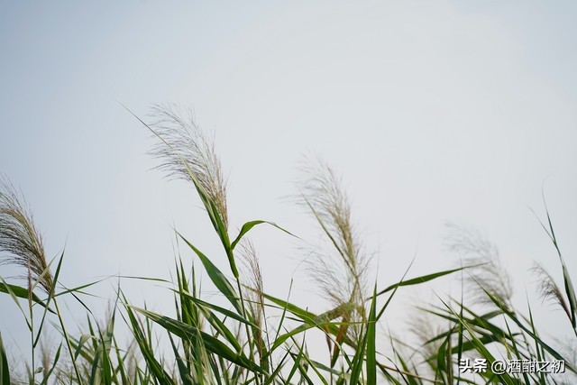 乡土小说：男欢女爱（二十）