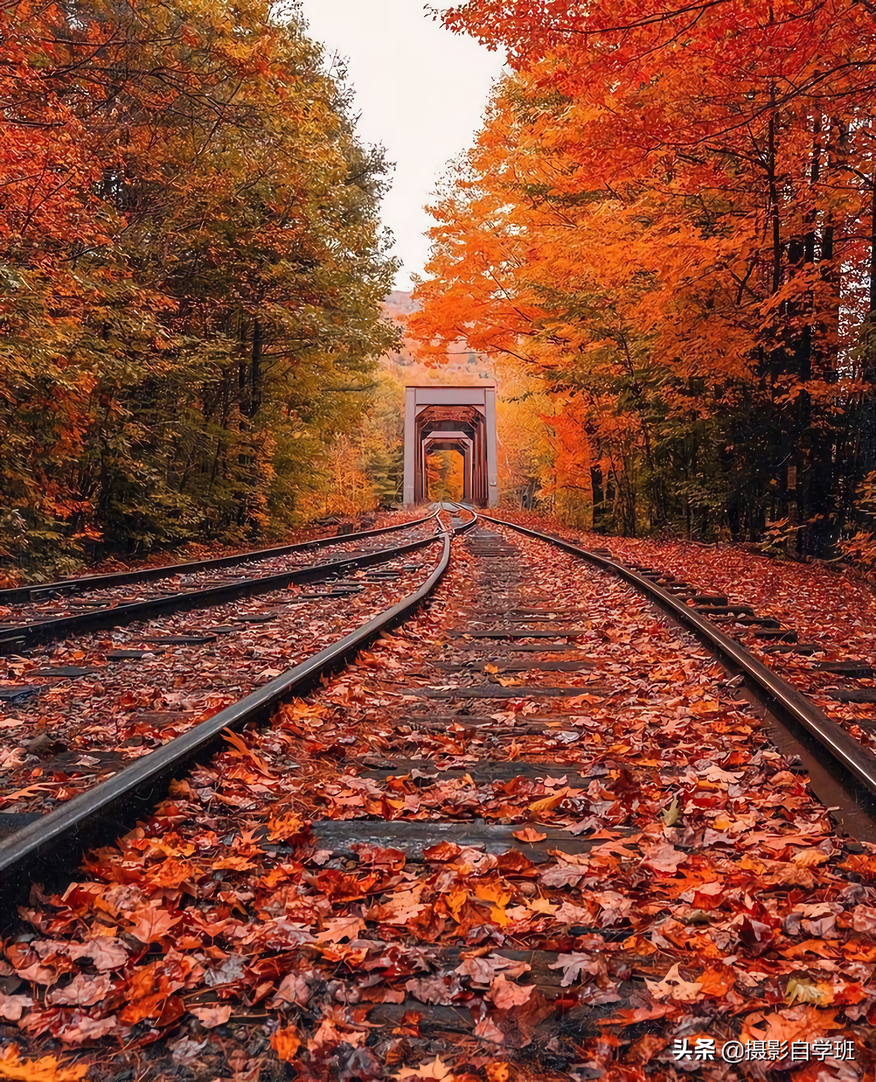 8个风景摄影小技巧,风光摄影8大技巧书