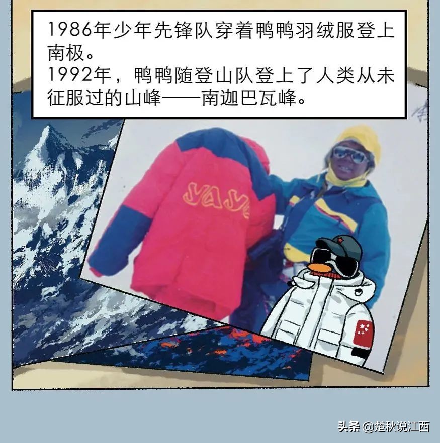 五十年品牌历史,50年中国服装品牌