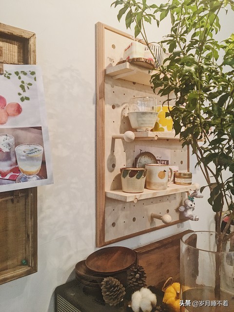 瞬间提升室内高级感的5种绿植,森系装修风格怎么在效果上展现