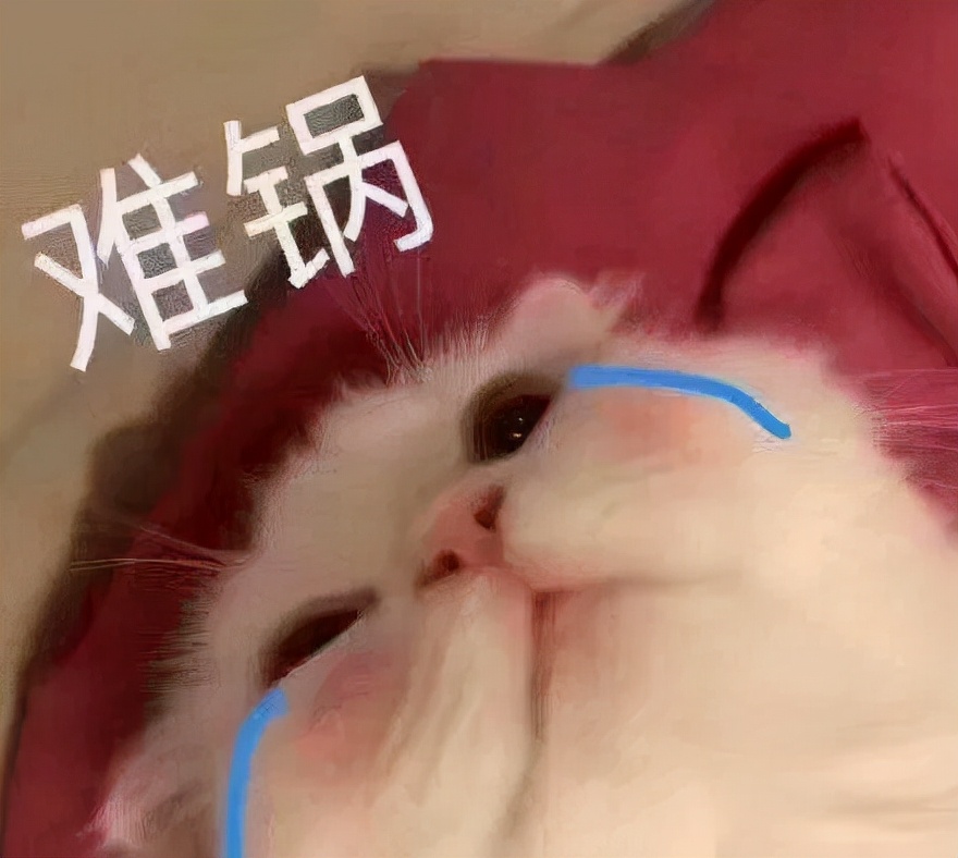 谁说翻车的，我第一个不同意