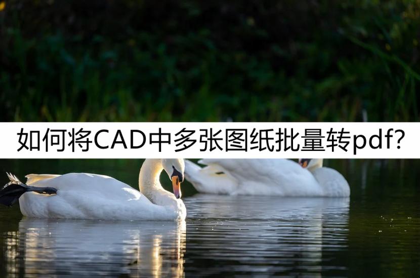 cad如何批量打印成一个pdf文件,cad多个窗口批量转一个多页pdf