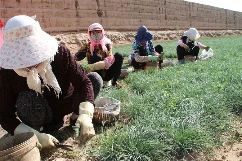 三抓三促具体行动,三抓三促行动视频