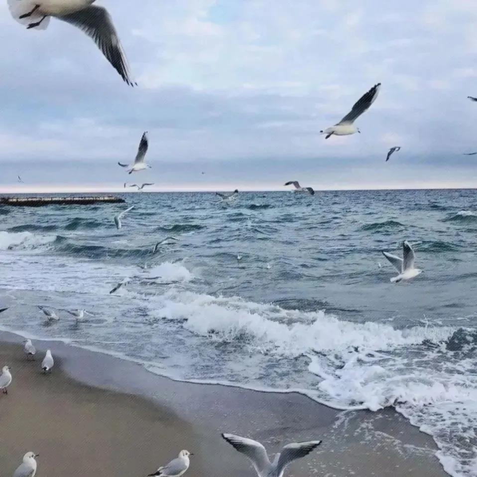 小众背景图朋友圈,干净小众背景图纯色