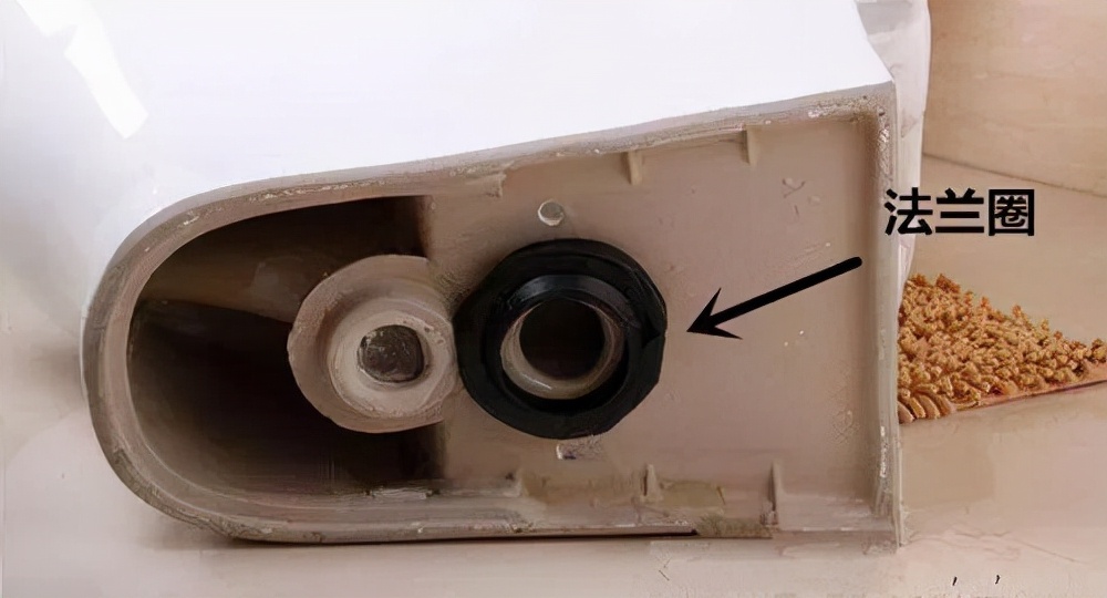 卫生间小飞虫蛾蚋的危害,卫生间小飞虫有多可怕