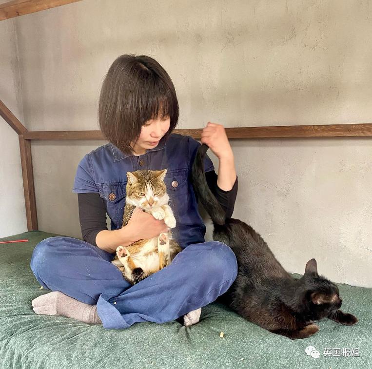 木头雕刻作品猫,手工雕刻木雕小猫