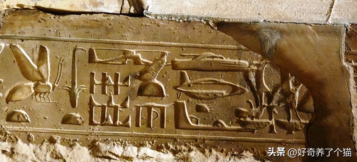 20张罕见图,最罕见的20张图片