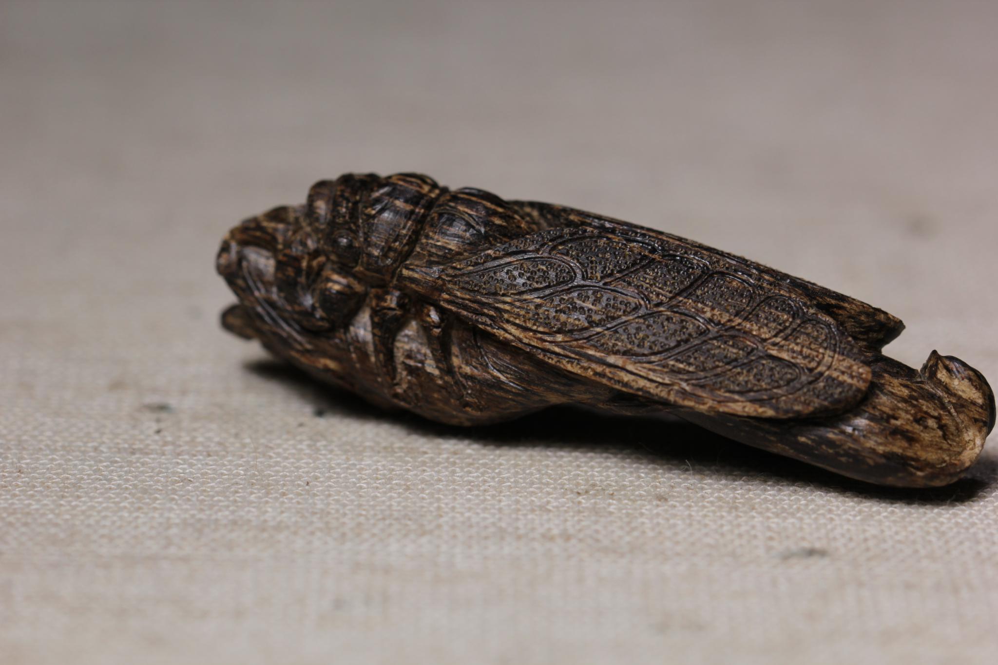 沉香比金子贵,沉香贵的跟便宜的区别