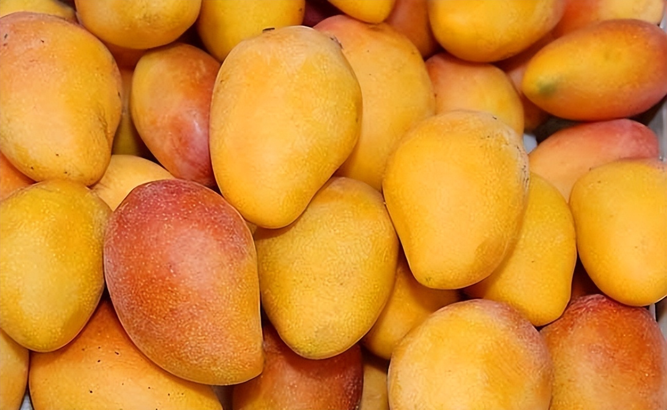 芒果怎样剥皮最方便且不脏手,芒果怎么吃不脏手又好剥皮的方法