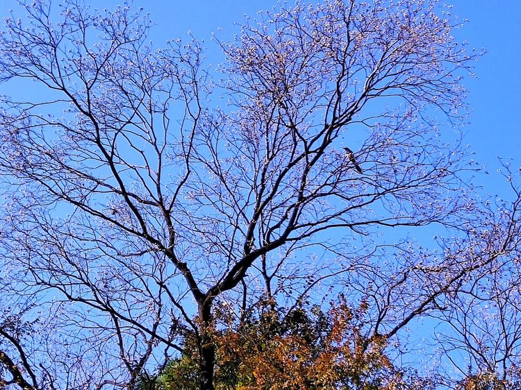晨思暮想中年人,晨思晚语