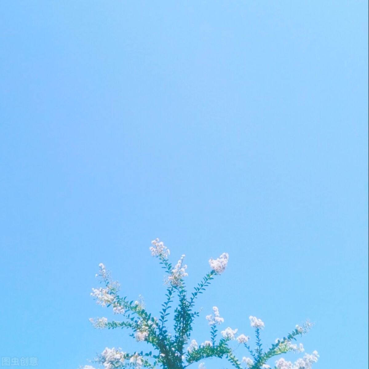 写给女孩子的六条人生建议,99条简单实在的人生建议