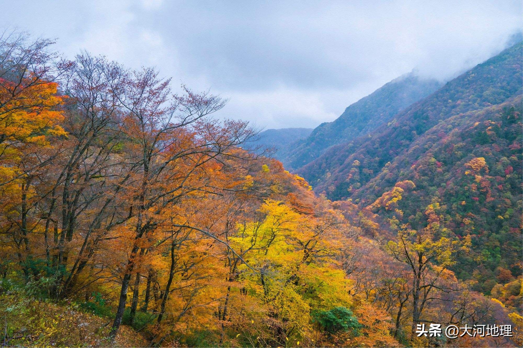 旅游攻略国内十大必去景点南方,中国南方著名景点