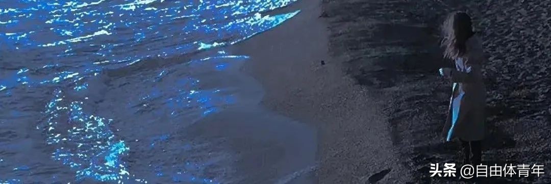 专科生真的就没有出路了吗,专科生到底有多难