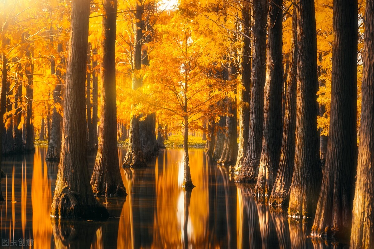 上海国庆值得去玩的地方推荐,上海十一游玩推荐免费