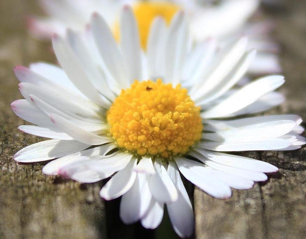 清明节上坟祭祖最难走的路,清明节扫墓牢记十不要