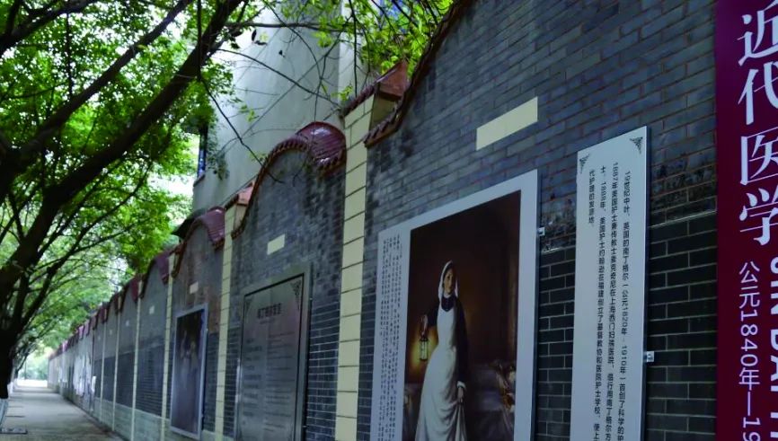 四川公办护理职业院校有哪些学校,四川护理职业学院好还是川康院好