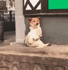 鍖绘姢浜哄憳鑱屼笟鏆撮湶鎰熸兂,鍖绘姢浜哄憳鑱屼笟鏆撮湶鏁堟灉璇勪环