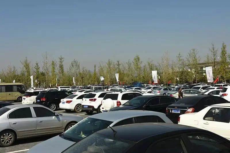 海洋的庞然大物蓝鲸,地球进化史上最大的生物