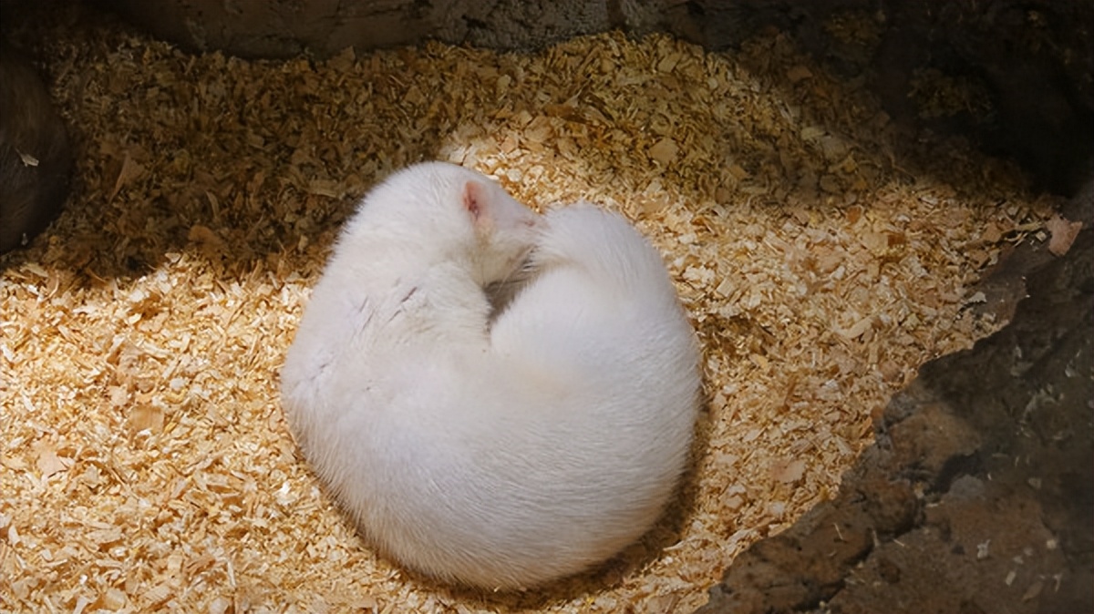 在江苏的“绿林仙海”中，寻找侠气与柔情