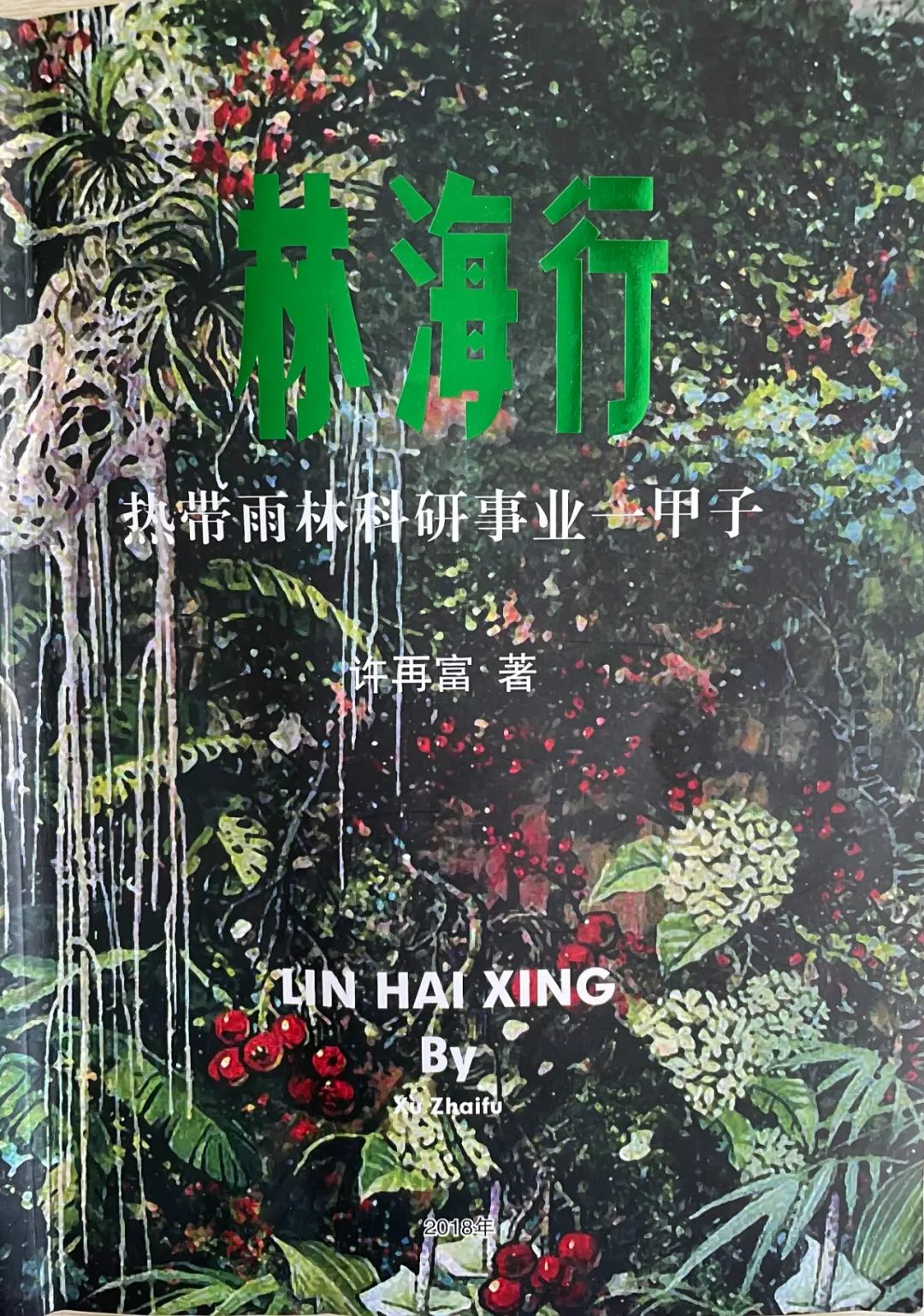 植物学家许再富：从事热带雨林科研事业一甲子的中科院“终身研究员”