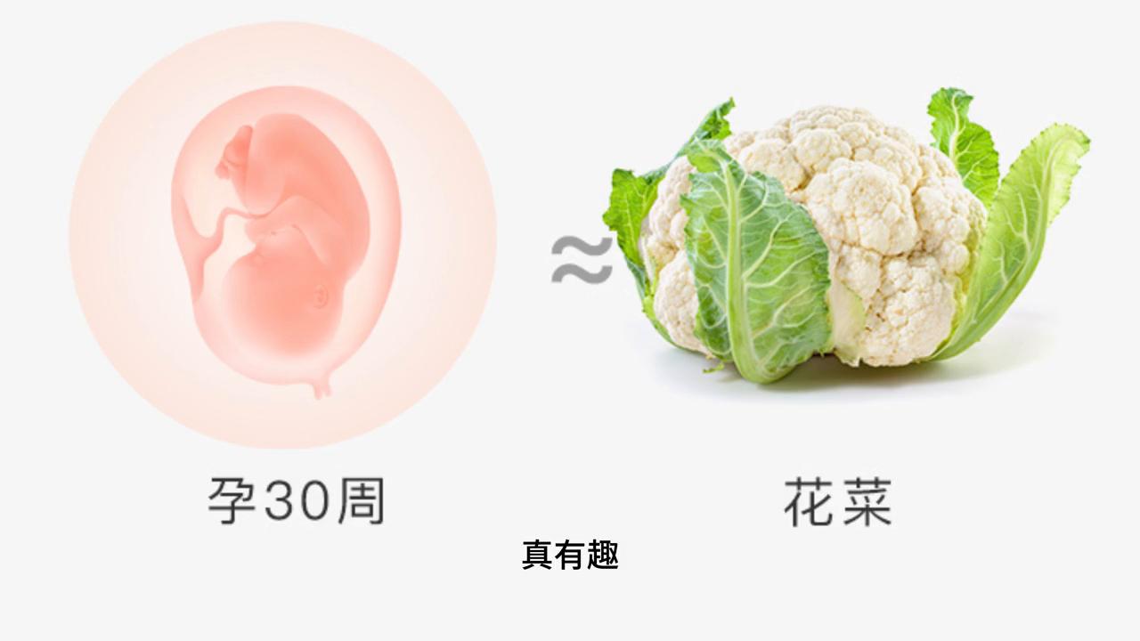 孕30周，这些重要的事准妈妈不可不知！#孕妈