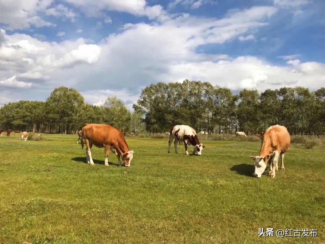 乡村振兴2023年最新热点,2023年乡村振兴必背知识点