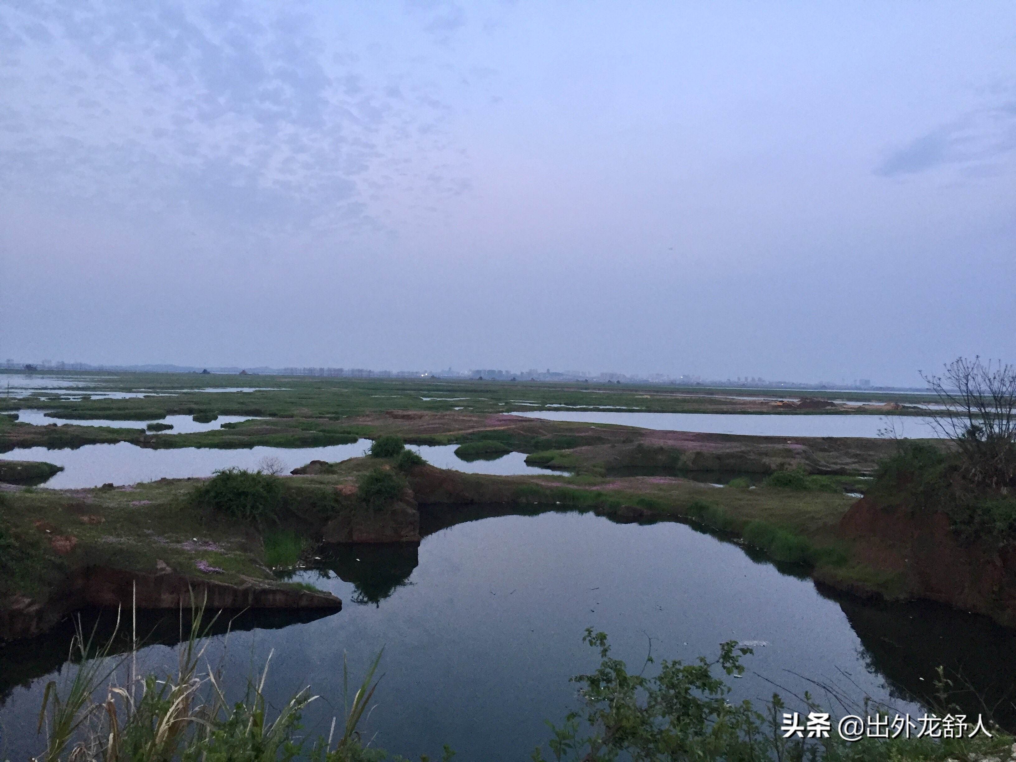 榫欓鍚堣偉,鍚堣偉鍛ㄥ叕灞遍緳娼渤