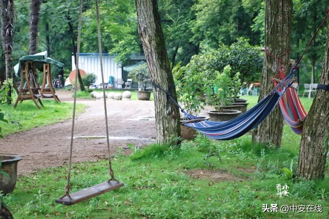 池州可以露营的湿地公园,池州户外露营地推荐