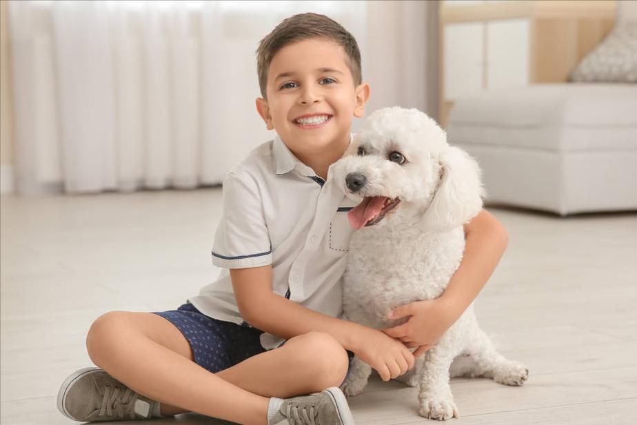 兽医怎么养宠物,兽医教你如何喂养一个月大的犬