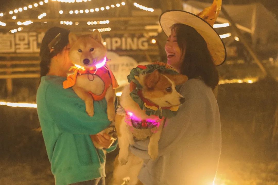 萌宠万圣狂欢夜,萌宠露营云龙区